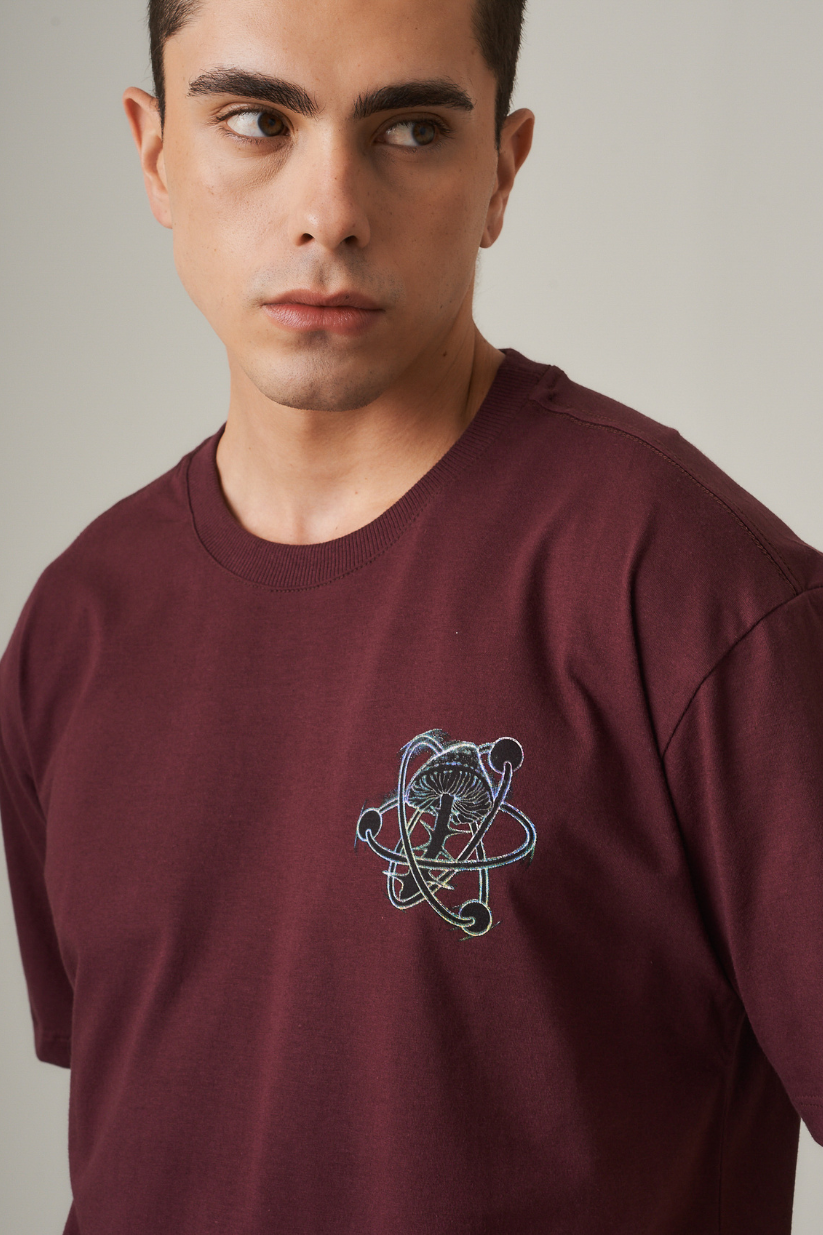 CAMISETA BASICA ASTROSHROOM 200809