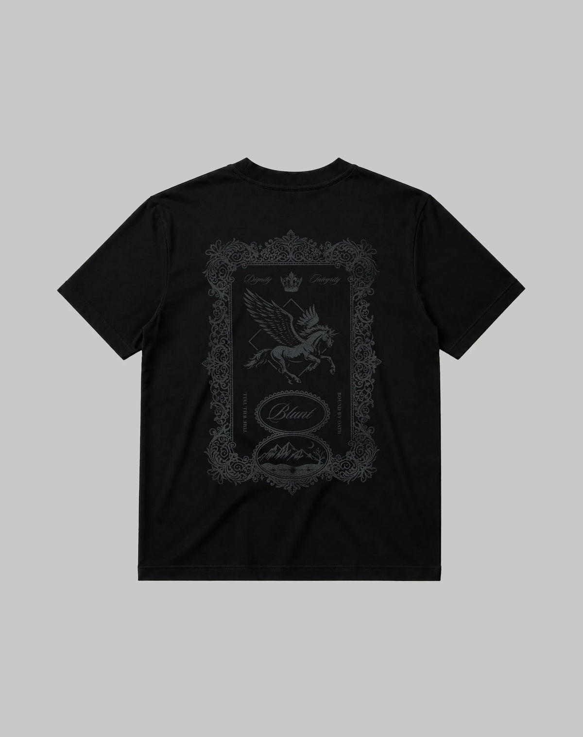 CAMISETA EXTRA ICON 200910E