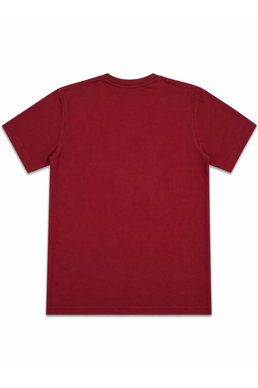 CAMISETA FEDERAL ART OVERSIZED 17240