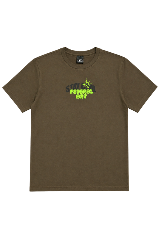 CAMISETA MC JUV 17211 FEDERAL ART MARROM
