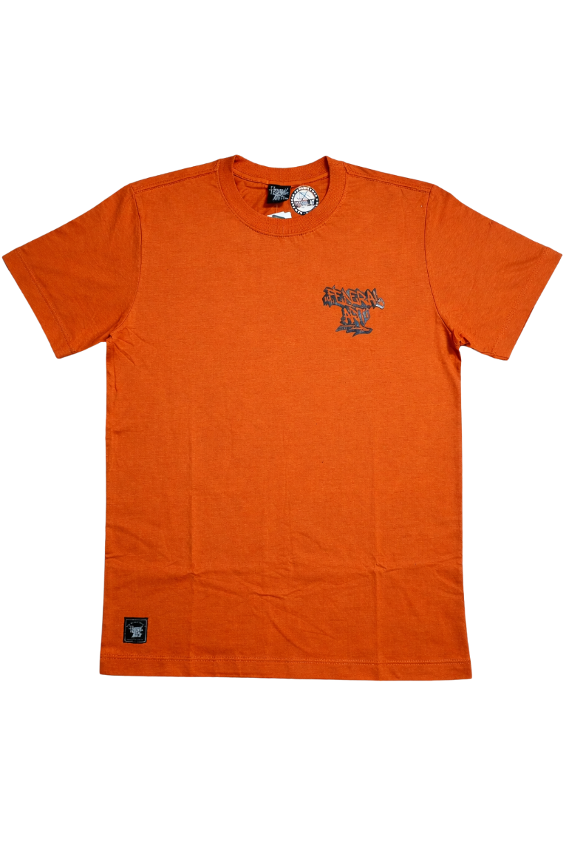 CAMISETA FEDERAL ART OVERSIZED 17207